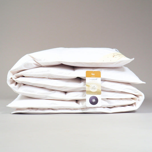 Basic + Duvet