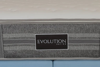 Evolution Inspire